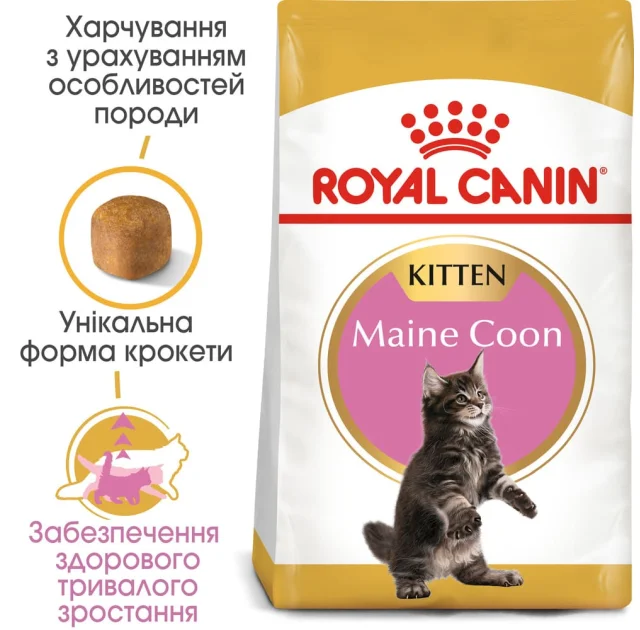 Сухий корм Royal Canin Maine Coon Kitten для кошенят мейн-кунів до 15 місяців, 2 кг